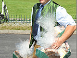 Friedwald bringt die Preise