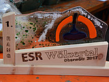 Die Trophäe fürs 14 Hallenturnier