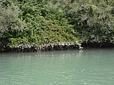 DSC 6072