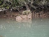 DSC 6077