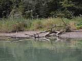 DSC 6104