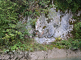 DSC 6082