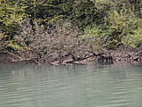 DSC 6097
