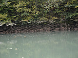 DSC 6119