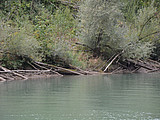DSC 6124