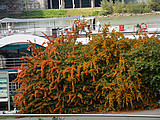 DSC 6160