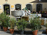DSC 6193