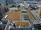 DSC 6249