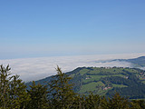 DSC 6355