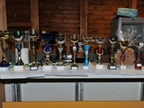 Die Pokale